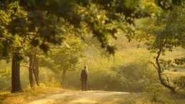 Country road 