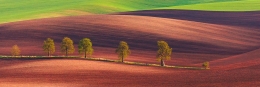 South Moravia 