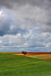 Alentejo 