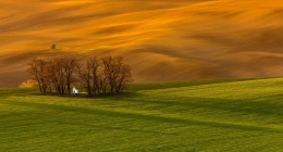 South Moravia 