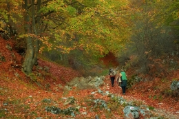 Autumn countryside 