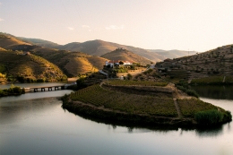 WAKE UP IN DOURO 