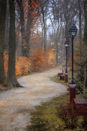 Autumn on the alleys of the park (Mogosoaia) 