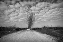 A estrada dos campos 