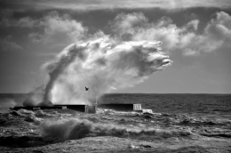 Sea storm___ 