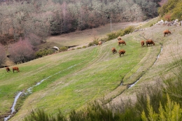 ALTO DO RABAGÃO 