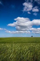 Alentejo 