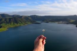 Um flor para as amigas 