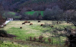 BARROSO LANDS 