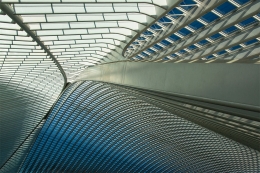 Calatrava shapes 