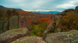 Autumn landscape 