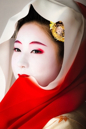 Japanese real maiko 