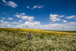 Alentejo 