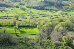 Serra de Montemuro 