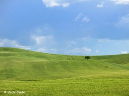 Campagne sicule in questo periodo... 