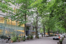 Marunouchi Tokyo 