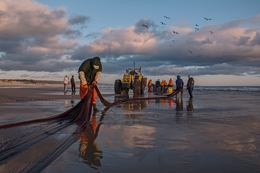 Pescadores da minha terra 