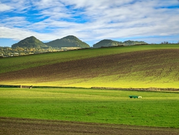 Verdes Campos 