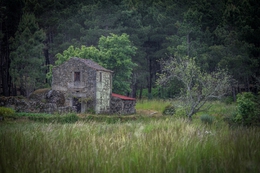 Casa de Campo 