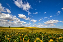 Alentejo 