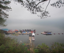 foggy dock 