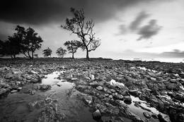 pantai tanjung dewa 