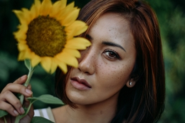 The Sunflower Girl 