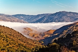 QUINTA DO VESÚVIO 