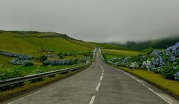 Estrada de Hortênsia   