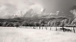 Infrared landscape 