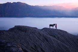 Bromo Tengger Semeru 