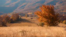 Autumn landscape 