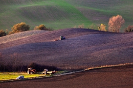 Paesaggi toscani 