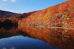 Autumn Reflection 