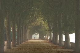 Coimbra - Portugal  