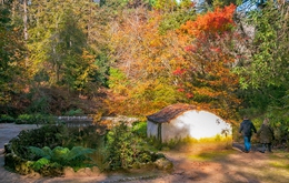 ROMANTIC GARDENS OF SINTRA 