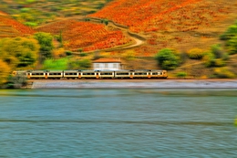 GOUVINHAS - DOURO TRAIN 