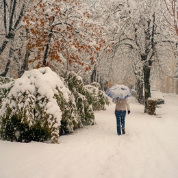 Winter street 