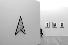 MAPPLETHORPE em Serralves I 