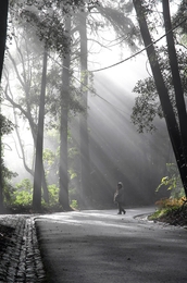 Procura a Luz...Sintra 