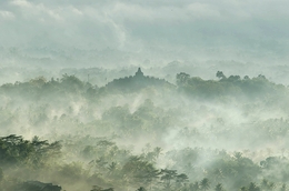 The mist covered the Borobudur temple 