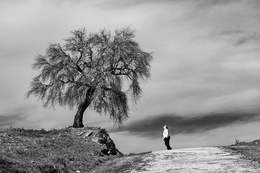 NATURAL PARK OF NOUDAR 