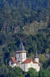 Serra do Bussaco 