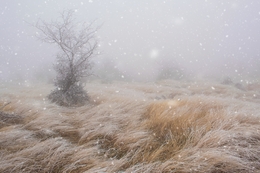 Winter landscape 