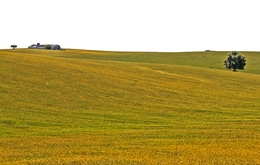 ALENTEJO 