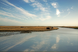 FLAT LANDS OF LEZÍRIA 