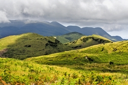 SAO MIGUEL ISLAND 