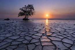 Di Ujung Senja 