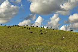 ALENTEJO - ALDEIA DA LUZ 