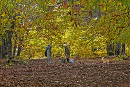 NATURAL PARK OF MONTESINHO 